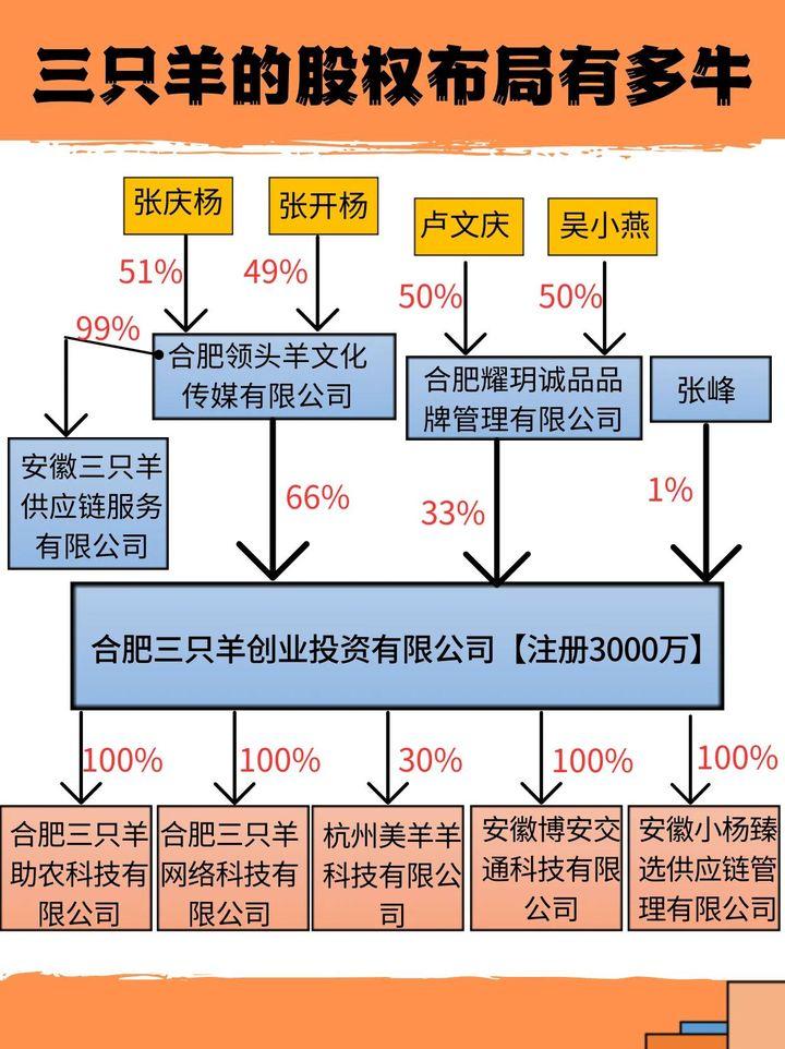疯狂小杨哥的股权布局 直播电商帝国的顶层设计密码